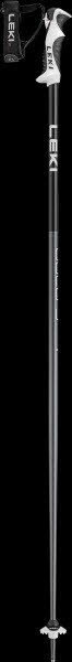 Bold S