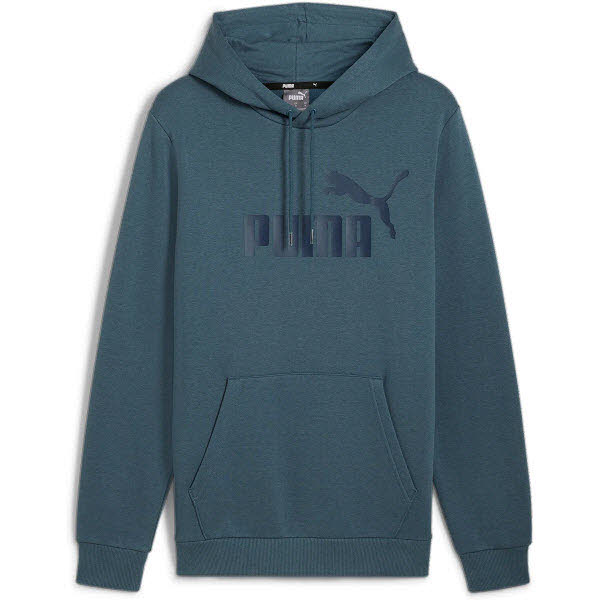 ESS Big Logo Hoodie FL (s)