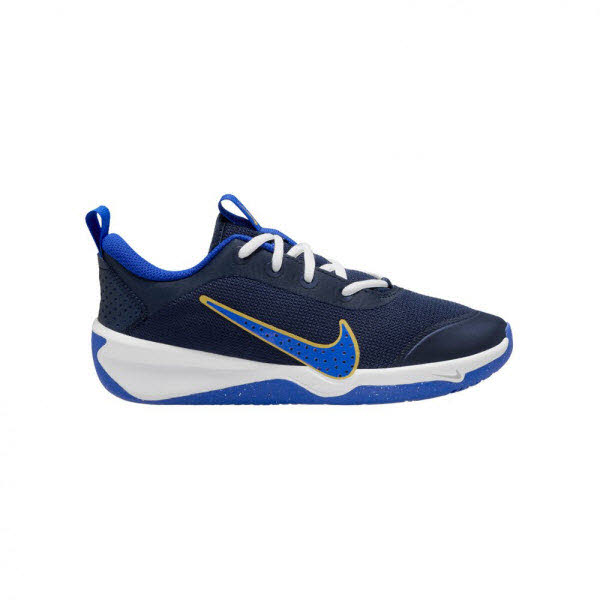 Nike Omni Multi-Court Big Kids