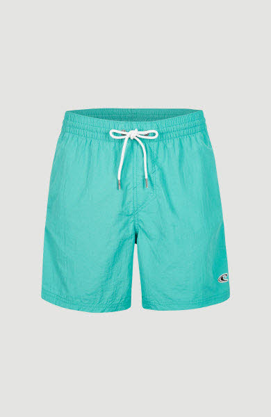 VERT 16"" SWIM SHORTS