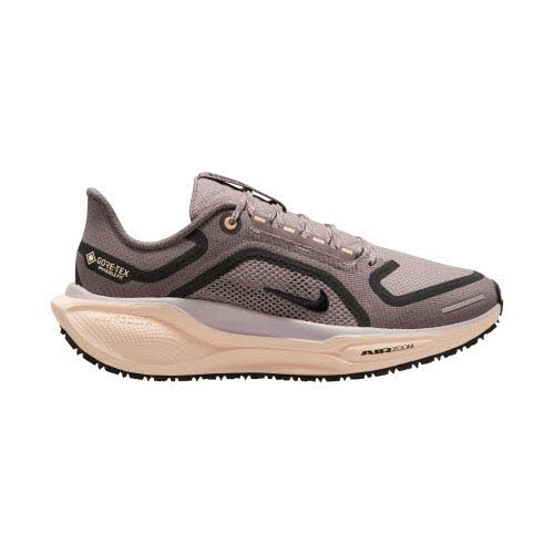 Nike Pegasus 41 GORE-TEX Women