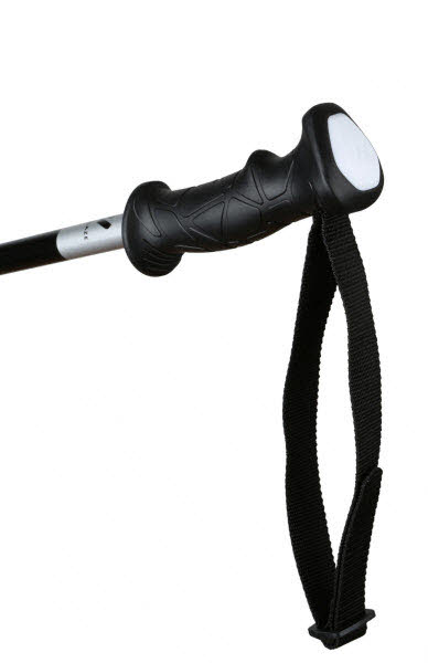 ALPINE PRO Jr,  Ski Poles,weiß-schwa